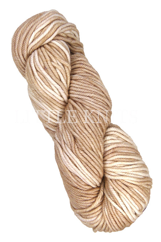 Araucania Huasco Chunky Kettle Dyes - Malt (Color #3010) knitting and crochet yarn on sale at little knits