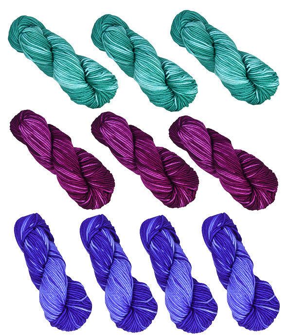 Araucania Huasco Chunky Ten Skein Mystery Bag -  4/3/3 Color Split - 65% OFF SALE!
