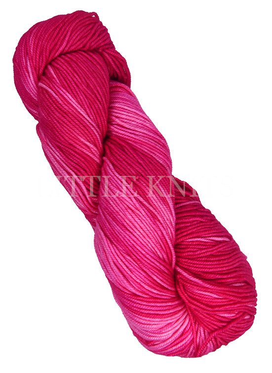 Araucania Huasco DK Kettle Dyes - Valentine (Color #2011) knitting and crochet yarn on sale at little knits
