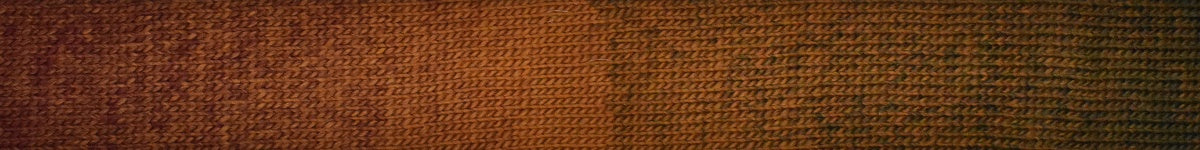 Laines Du Nord Poema - Rust Khaki Degradé (Color #607)
