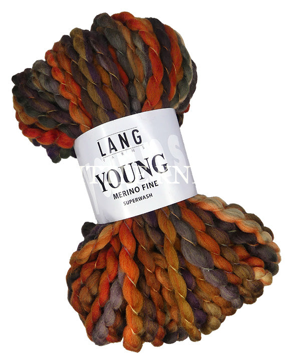 Lang Yarns Young - Color #80