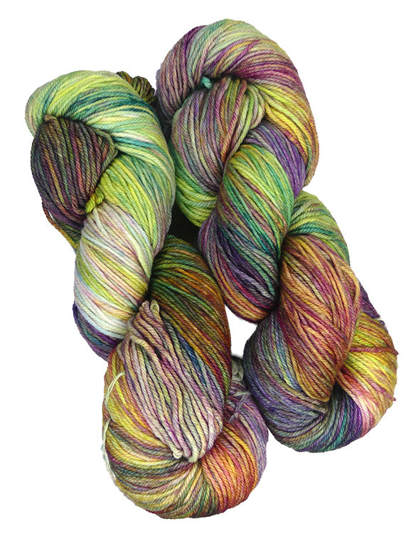Malabrigo Arroyo One of a Kind Colors - Garden Party (TWO SKEINS)