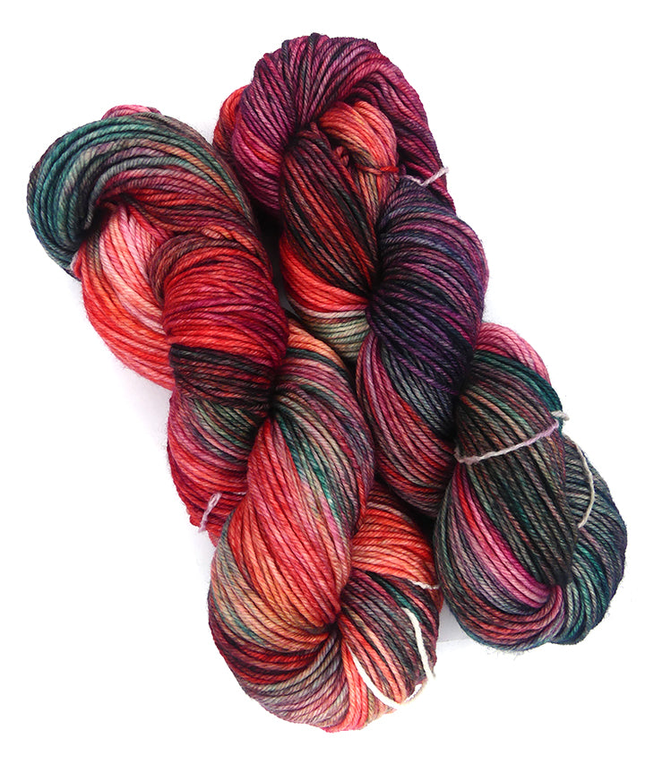 Malabrigo Rios One of a Kind - Dream Weaver (TWO SKEINS)