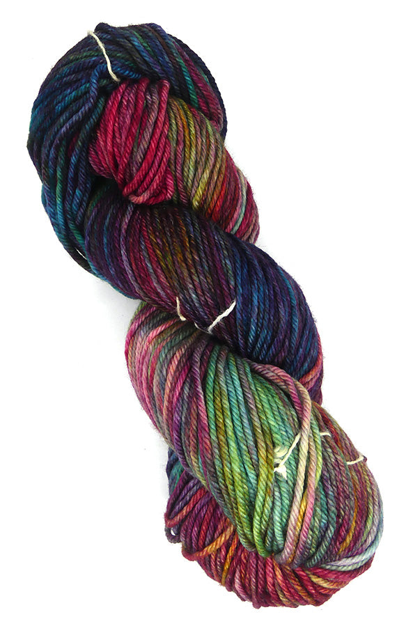 Malabrigo Rios One of a Kind - Jewelwing Dragonfly