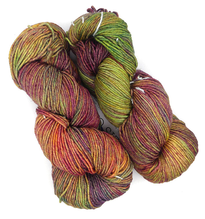 Malabrigo Seis Cabos One of a Kind Colors - Spring Vineyard (TWO SKEINS)