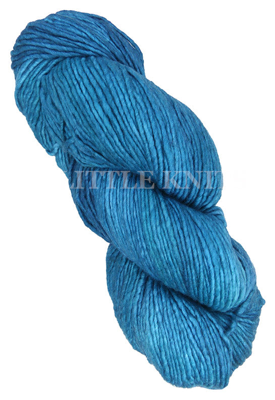 Malabrigo Worsted - Ocean Cruise (One of a Kind)