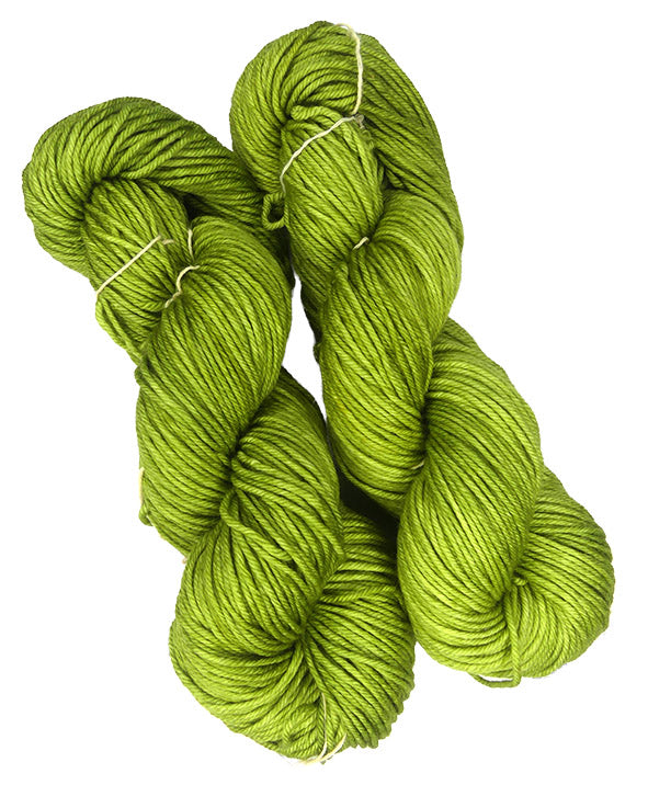 Malabrigo Rios One of a Kind - Palm Grove (TWO SKEINS)