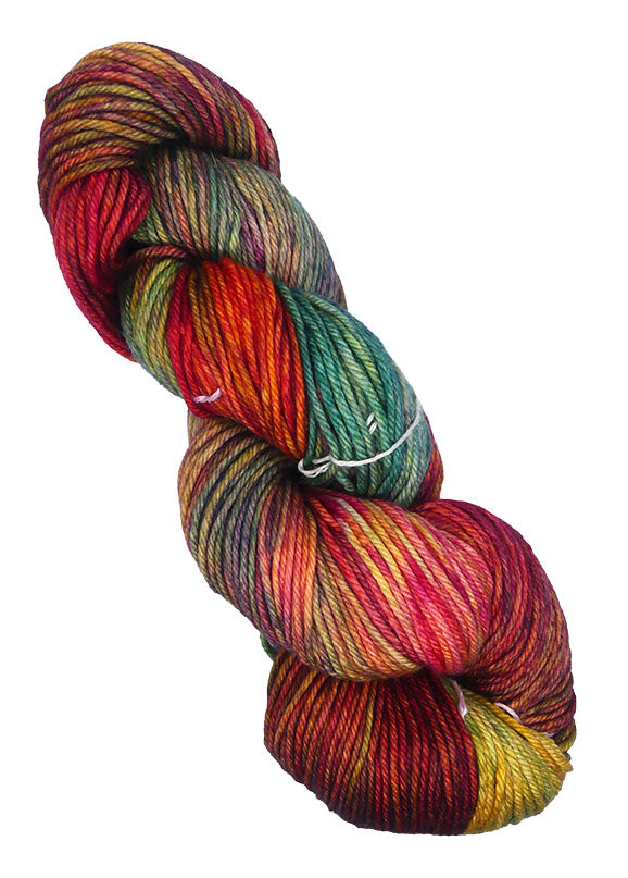 Malabrigo Rios One of a Kind - Autumn Lane