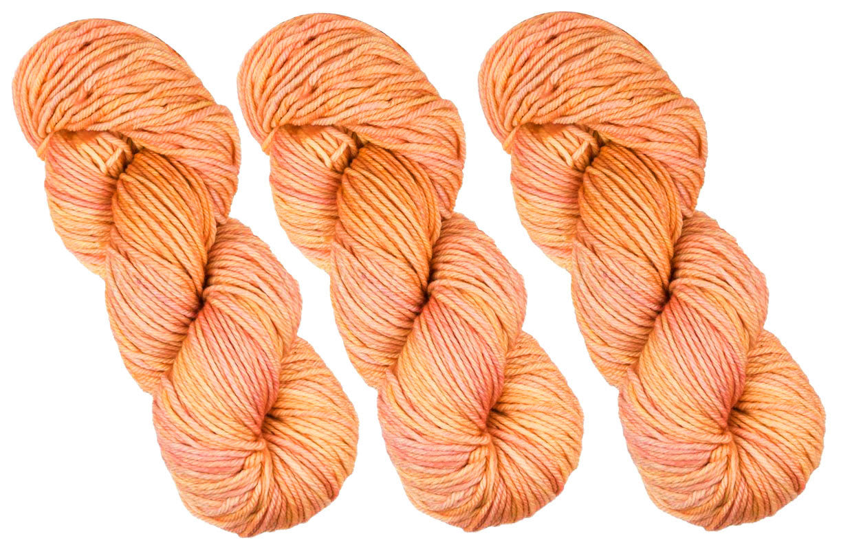 Malabrigo Rios One of a Kind - Creamsicle - Lot A (THREE SKEINS)