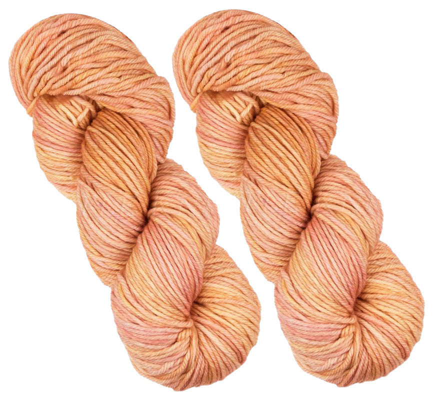 Malabrigo Rios One of a Kind - Orange Creme (TWO SKEINS)
