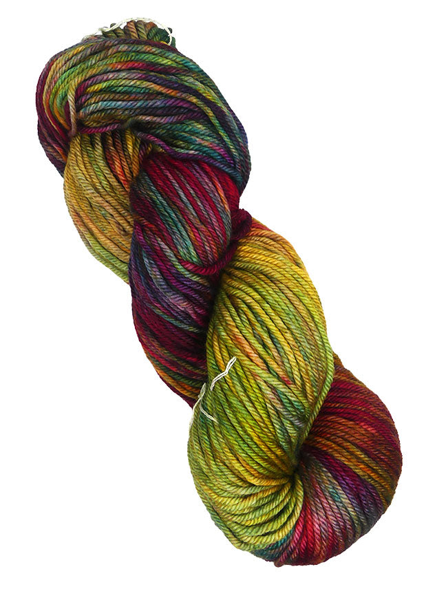Malabrigo Rios One of a Kind - Summertime