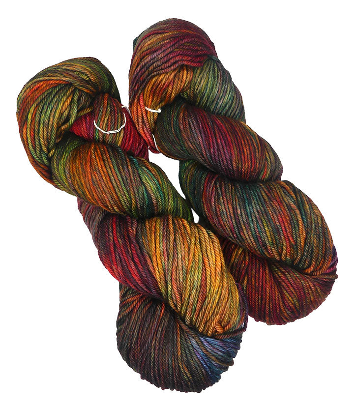 Malabrigo Rios One of a Kind - Trailblazer (TWO SKEINS)