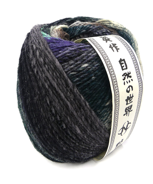 Noro Saiun Yarn - Fuyu (Color #13)