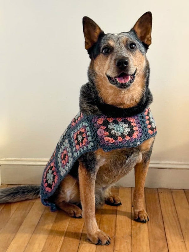 A FREE Berroco Pattern - Odie (PDF)