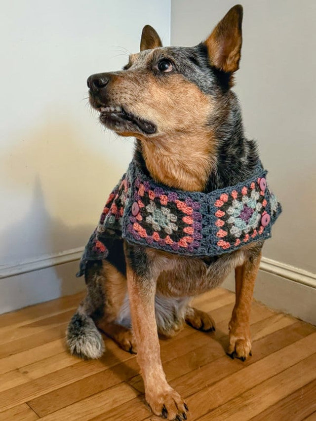 A FREE Berroco Pattern - Odie (PDF)