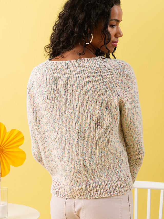 A Berroco Pattern - Rinnie Sweater (PDF)