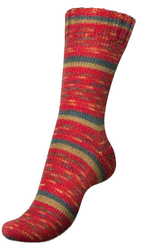Regia 4-Ply Celebrations - Rose Garden (Color #9424) sock yarn on sale at Little Knits