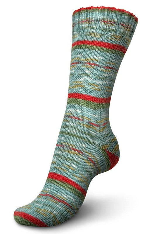 Regia 4-Ply Celebrations - Flower Meadow (Color #9422)