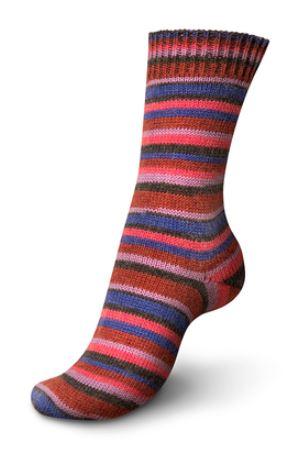 Regia 4-Ply - Smolder (Color #3863)