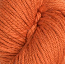 Cascade 220 Superwash ARAN - Pumpkin Spice (Color #337)