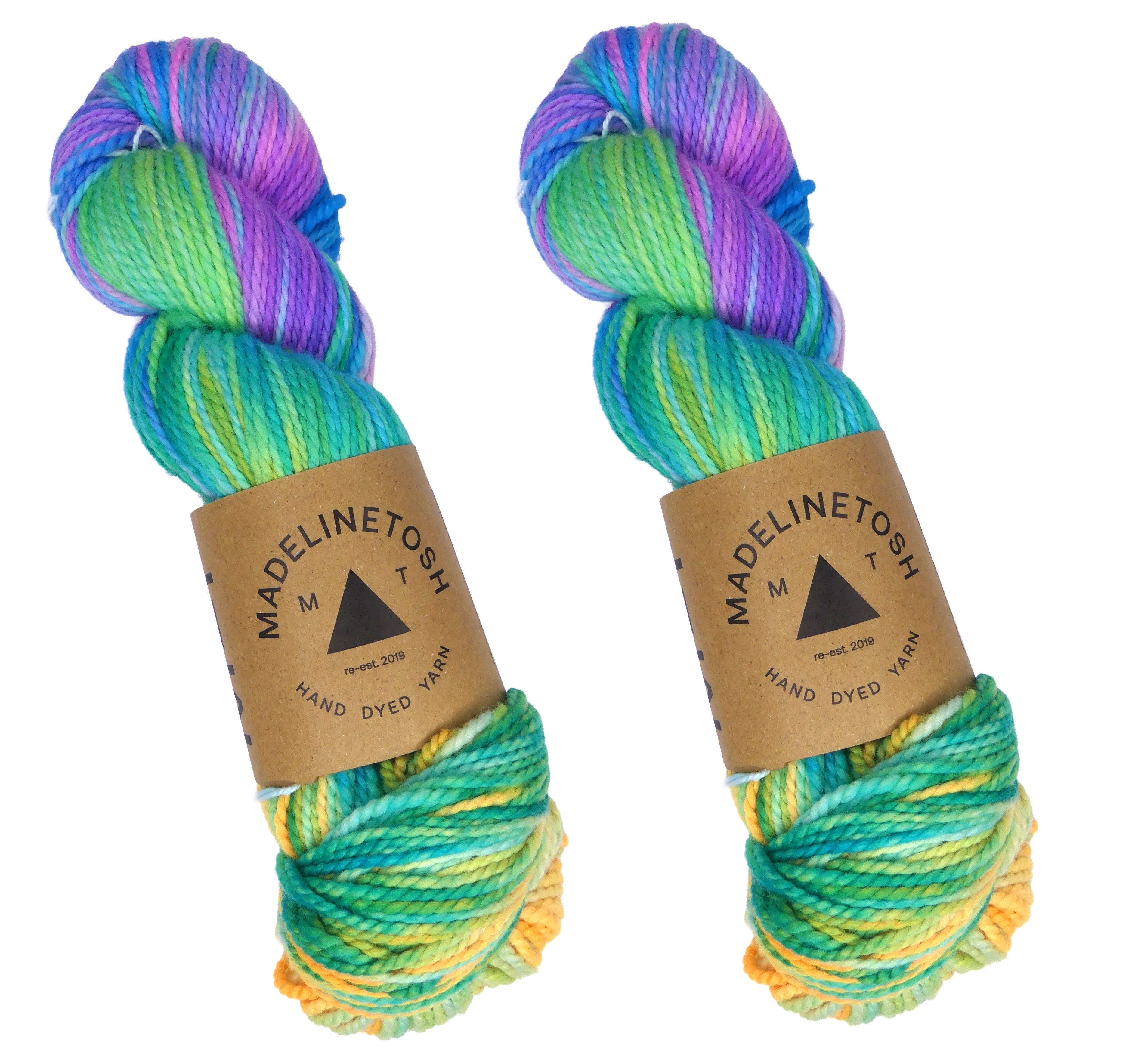 Madelinetosh Farm Twist - Discotheque (TWO SKEINS)