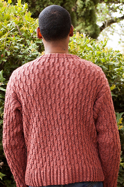 A FREE Cascade 220 Pattern - Cabled Heather for Him (PDF)