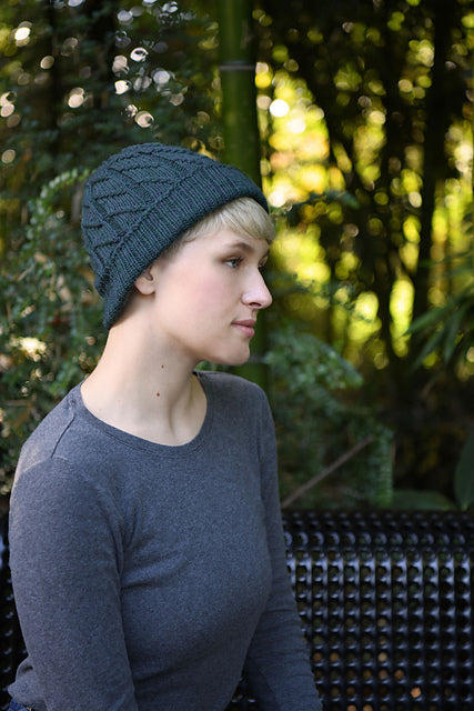 A FREE Cascade 220 Superwash Pattern - Spiral Twist Hat (PDF)