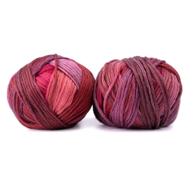 Woll-Schwestern (Wool-Sisters) By Schoppel - Berta (Color #2646)