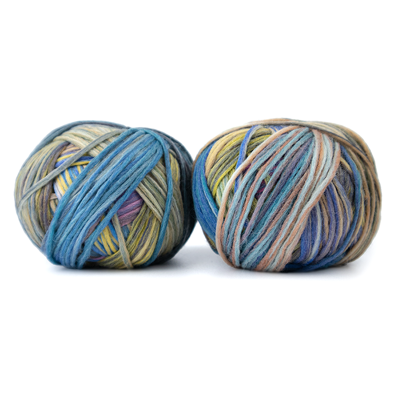 Woll-Schwestern (Wool-Sisters) By Schoppel - Carlotta (Color #2656)