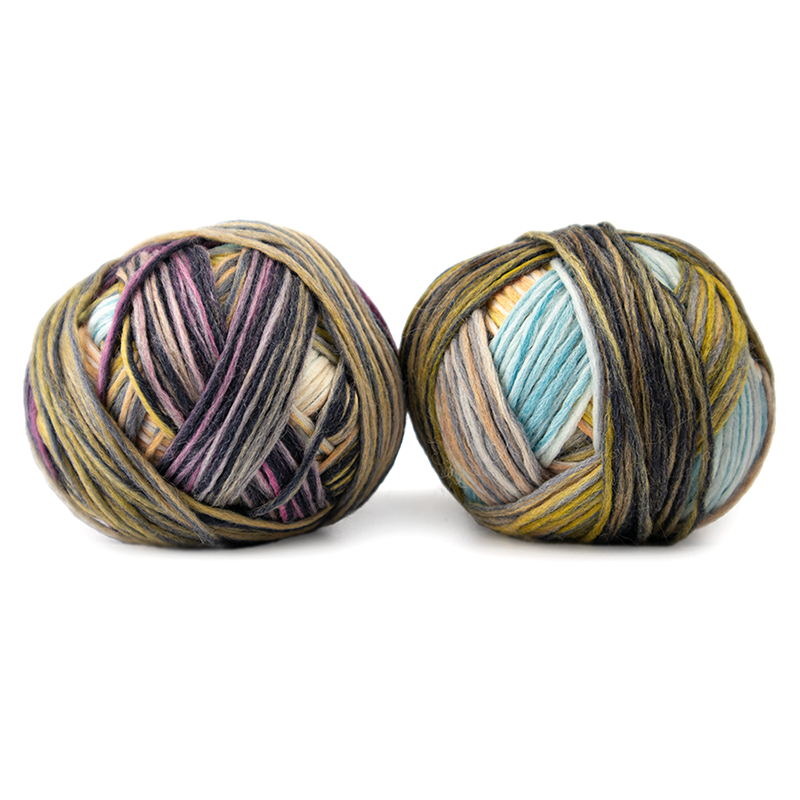 Woll-Schwestern (Wool-Sisters) By Schoppel - Charlotte (Color #2663)