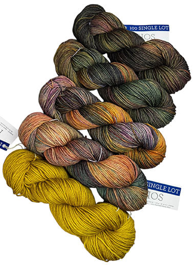 Malabrigo Rios One of a Kind - Woodland Alchemy (FIVE SKEINS)