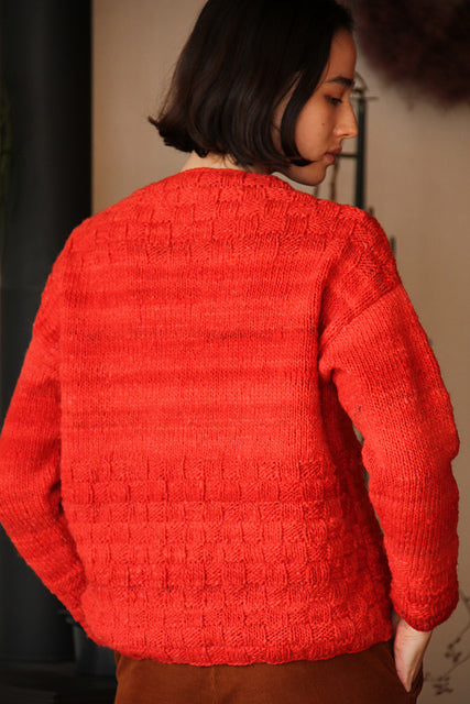 A Noro Malvinas Pattern -  Trivor (PDF)