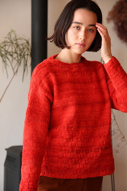 A Noro Malvinas Pattern -  Trivor (PDF)