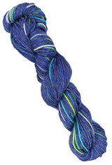 Berroco Splash - Acadia (Color #2418)