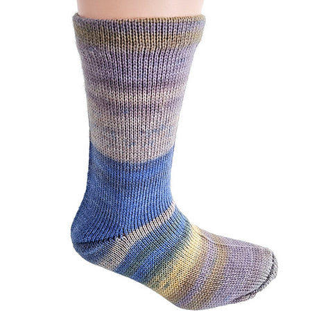 Berroco Sox - Historical Fiiction (Color #14227) on sale at 50% off at Little Knits