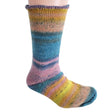 Berroco Sox - Yound Adult (Color #14231) on sale at 50% off at Little Knits