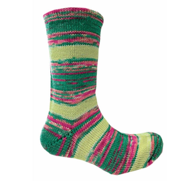 Berroco Sox - Maui (Color #14233) on sale at 50% off at Little Knits