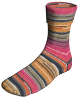 Berroco Sox - Applecross (Color #14108) on sale at 50% off at LIttle Knits