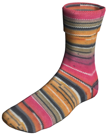 Berroco Sox - Applecross (Color #14108) on sale at 50% off at LIttle Knits