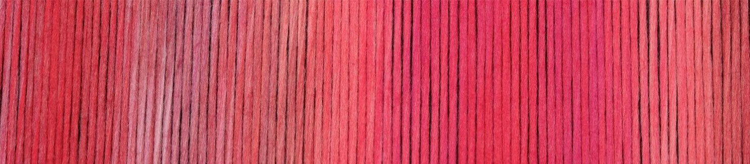 Woll-Schwestern (Wool-Sisters) By Schoppel - Berta (Color #2646)