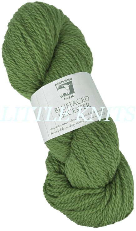 Juniper Moon Farm Bluefaced Leicester - Avocado (Color #16)