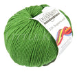 Cascade 220 Superwash - Mint Green (Color #254)