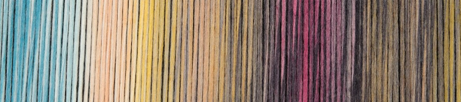 Woll-Schwestern (Wool-Sisters) By Schoppel - Charlotte (Color #2663)