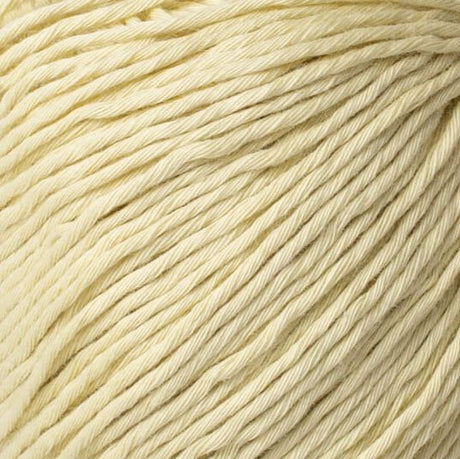 Fibra Natura Cottonwood Color 41103