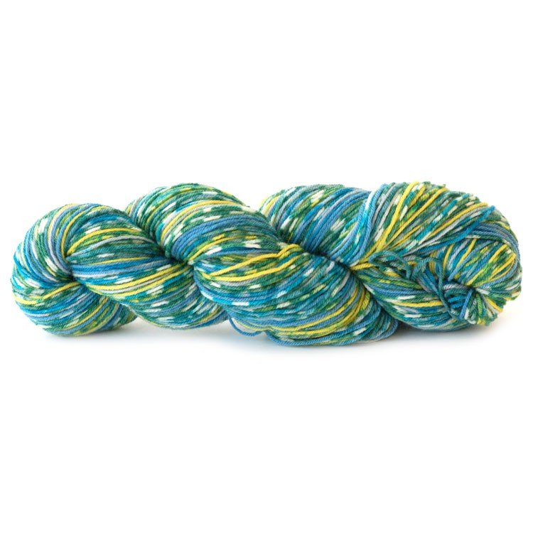 Schoppel Das Paar - Spring Cleaning (Color #2205) - FULL BAG SALE (5 Skeins)