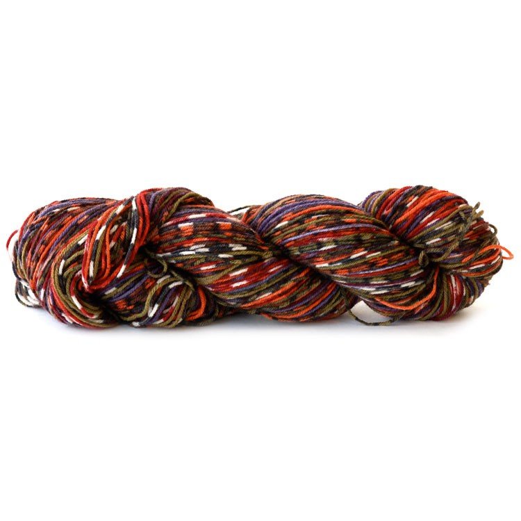 Schoppel Das Paar - Warm Front (Color #2208) - FULL BAG SALE (5 Skeins)