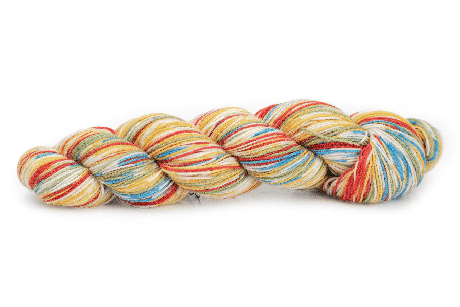 Schoppel Das Paar - Scattershot (Color #2505) - FULL BAG SALE (5 SKEINS)