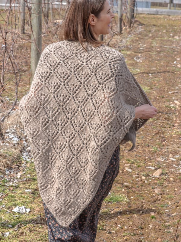 A FREE Berroco Ultra Alpaca Chunky Pattern - Dover (PDF)