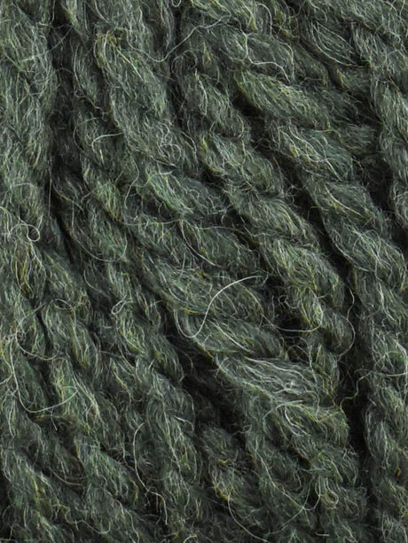 Jody Long Andeamo - Forest (Color #021) - 200 GRAM SKEINS