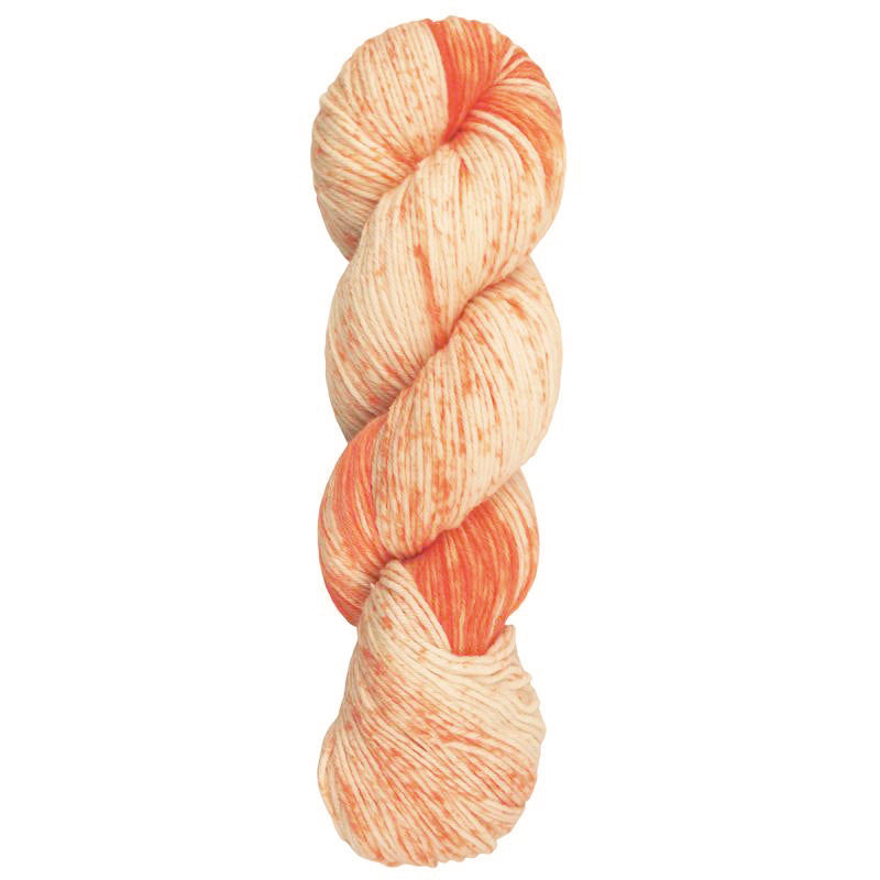 Araucania Huasco Color Hand-Painted - Atacama (Color #3011) - FULL BAG SALE (5 Skeins)